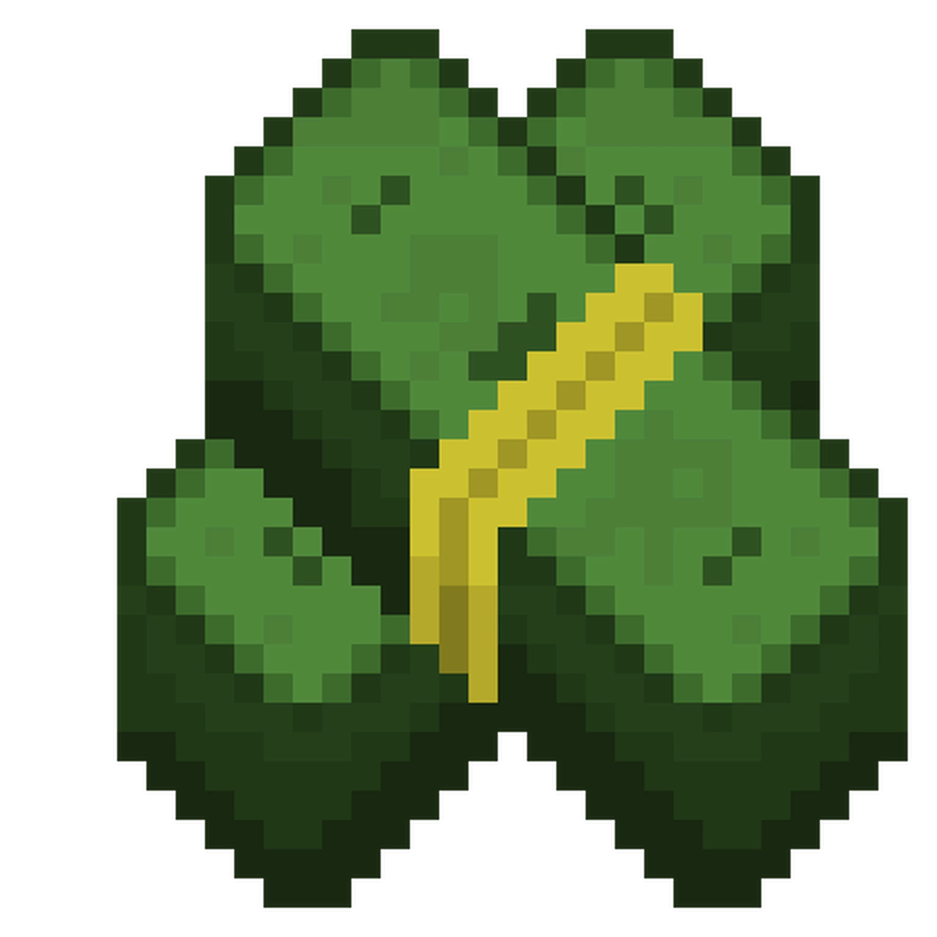 🌿 Kit « Cartel »